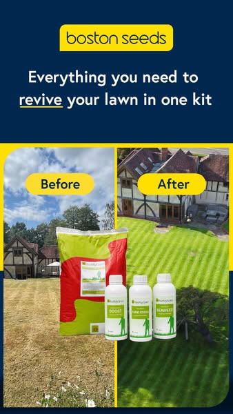 Summer Lawn Kit