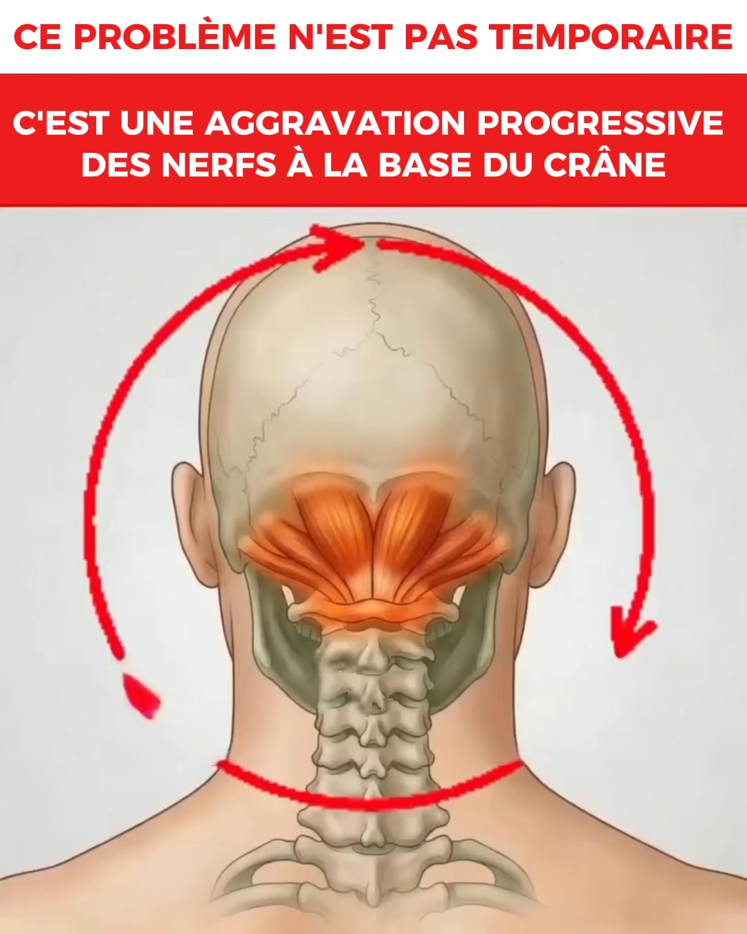 Pourquoi Vertiges, Tachycardie et Reflux Commencent Souvent dans le Cou