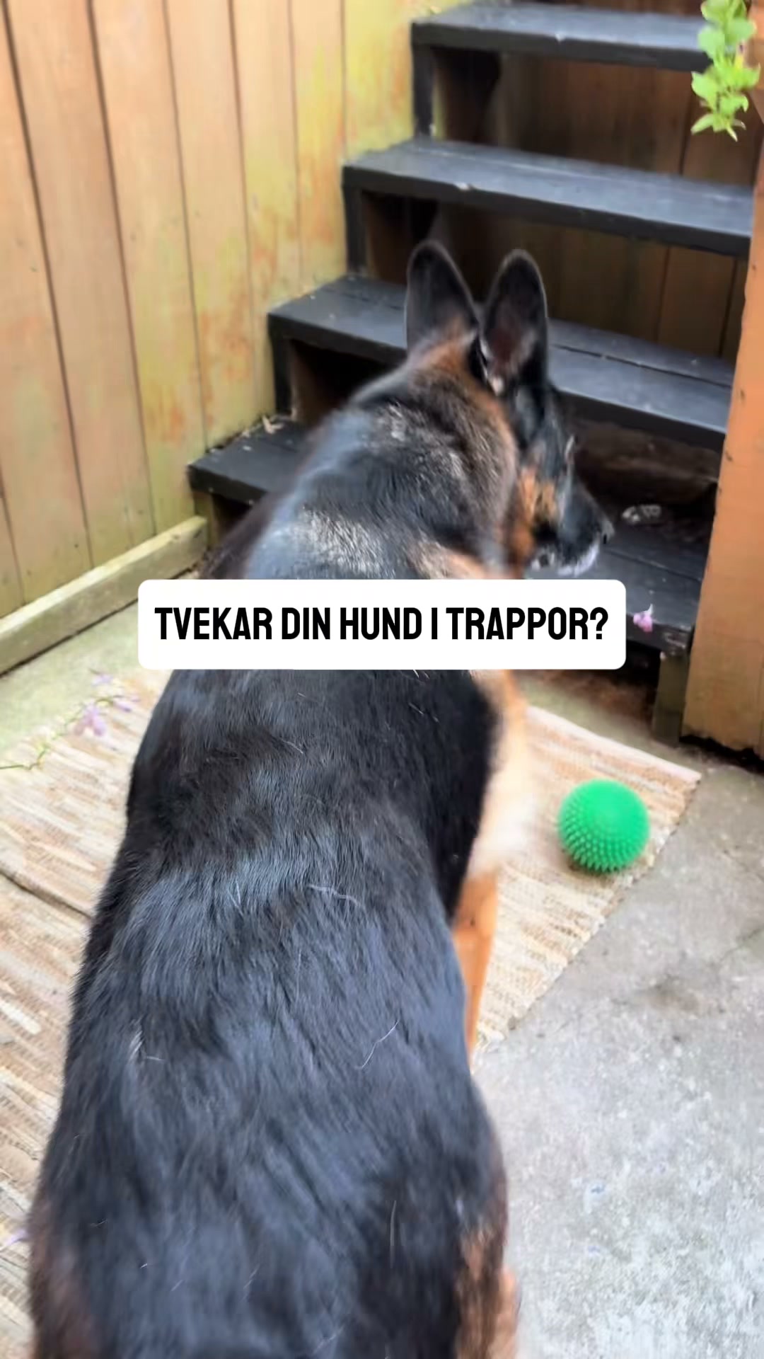 Ledgodis som faktiskt funkar