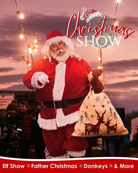 The Forage Christmas Show