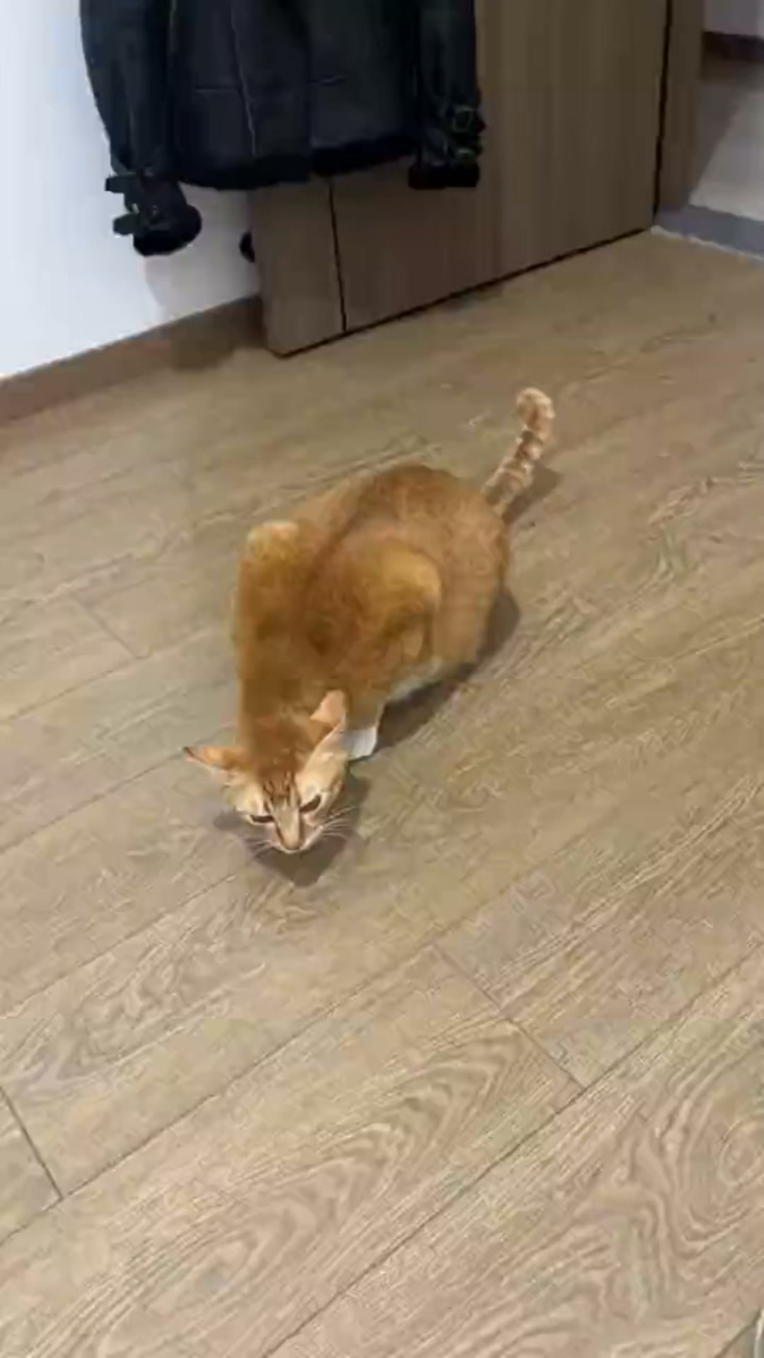It's not their age. It's their bowl.