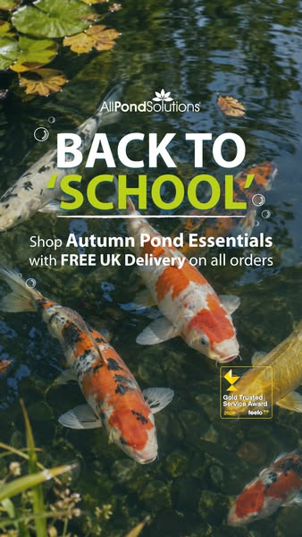 New Season Pond Essentials