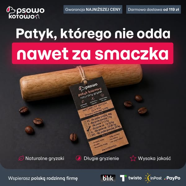 Kup teraz patyk z drzewa kawowego