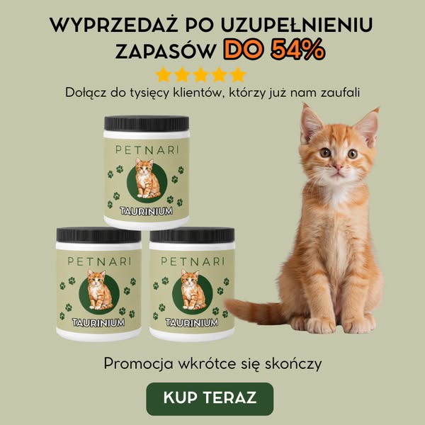 Dziś do 54% taniej