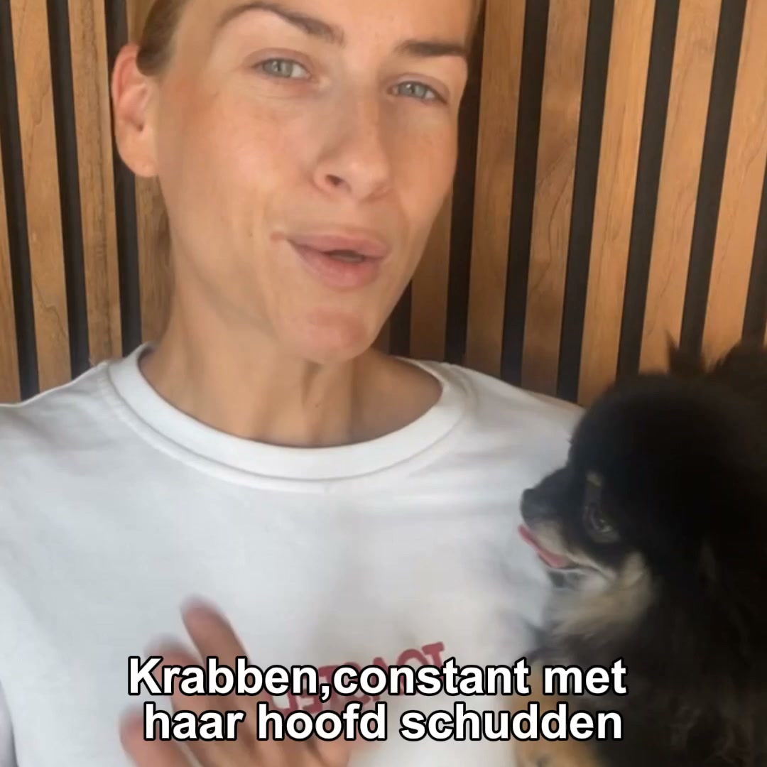 12.000+ tevreden baasjes