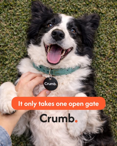 Order A Tag For Free