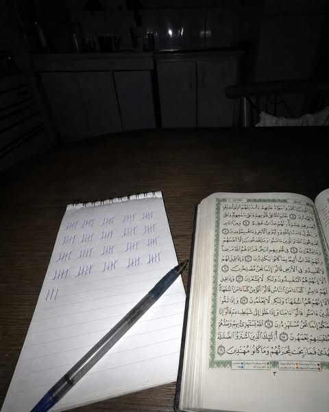The Quran words you recite daily, finally with meaning