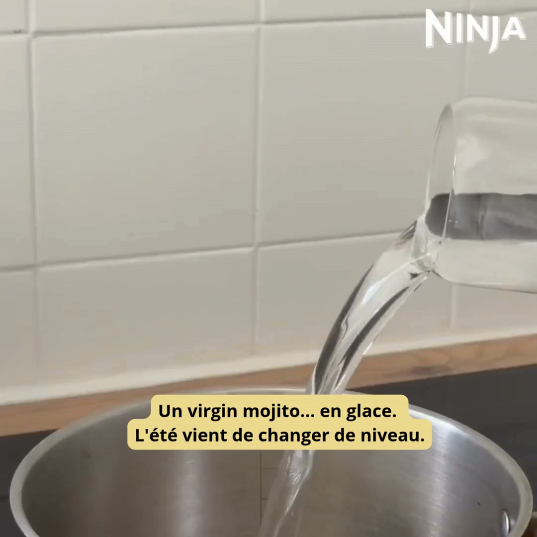 Ninja Creami Scoop & Swirl