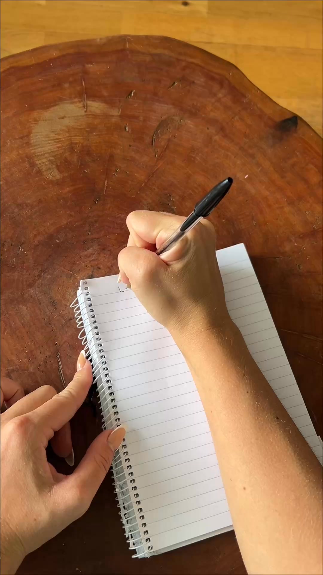 Distraction-Free Gym Logbook.