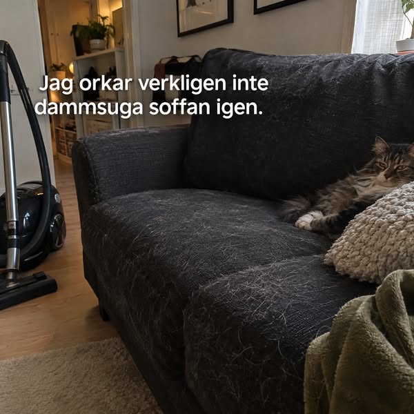 Älskar katten. Inte katthåret.