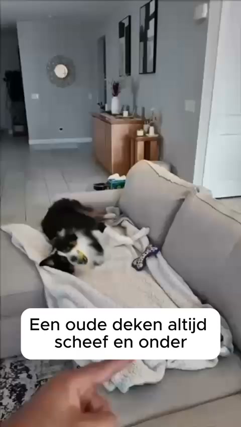 Bescherm je bank, geef je interieur een upgrade