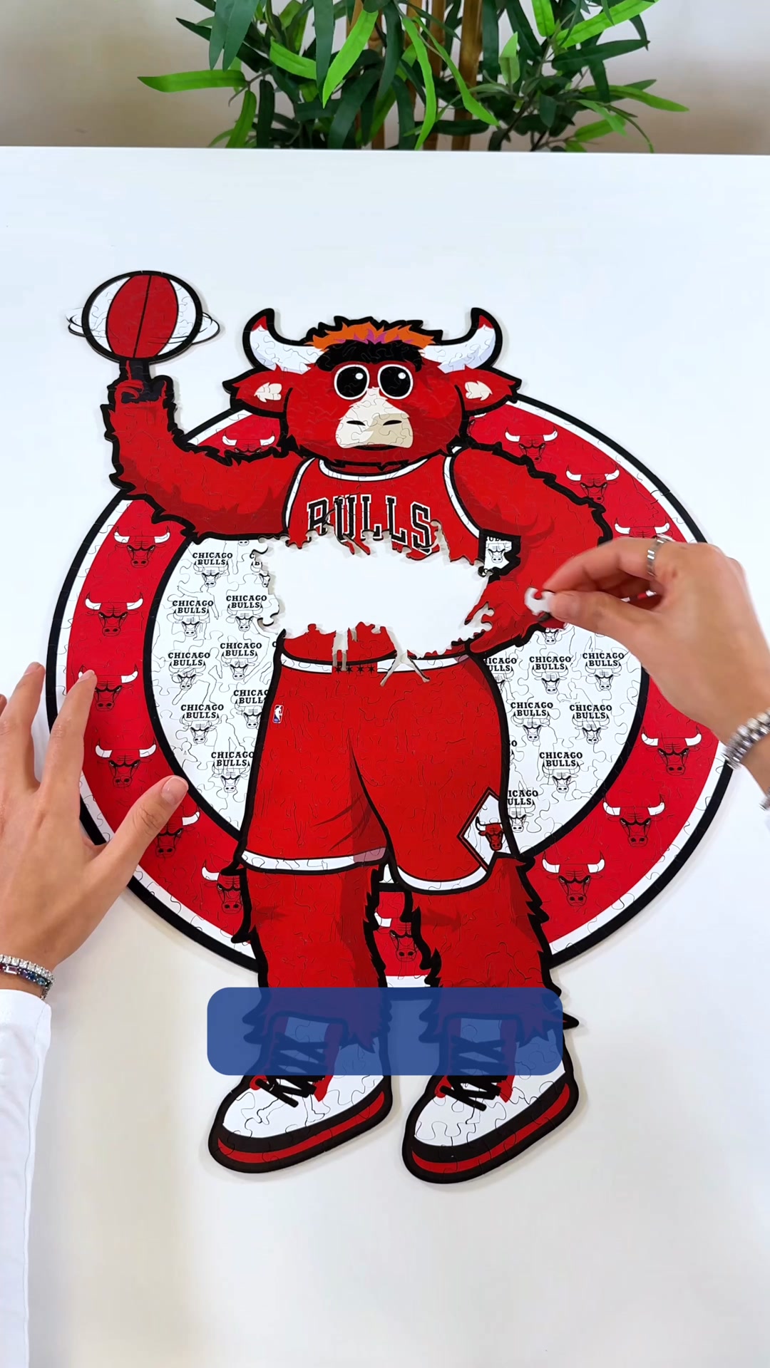 Le Cadeau Parfait Pour Fans NBA™