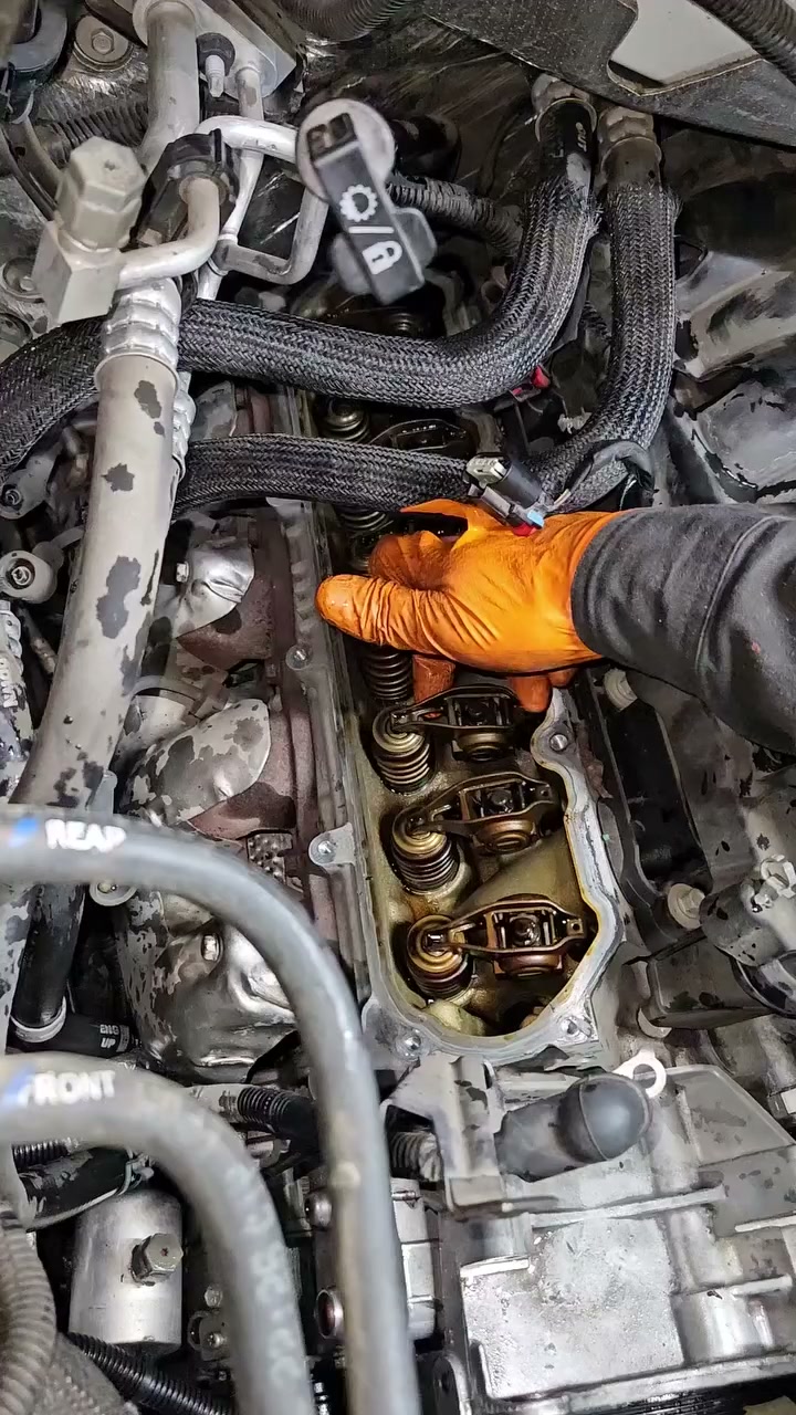 Protect Your Engine Before the Tick