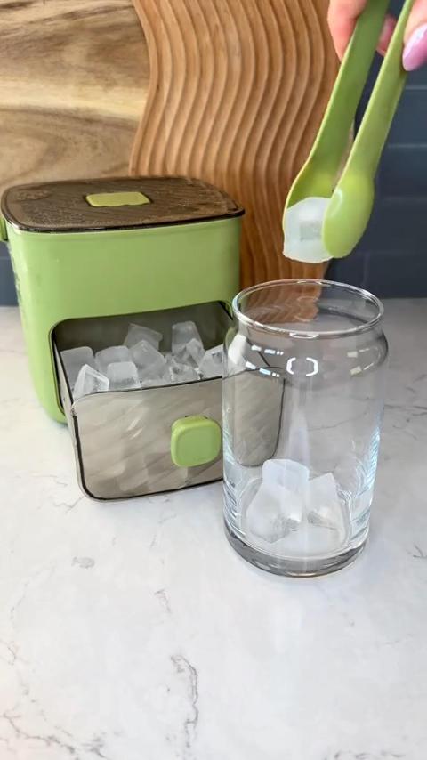 Portable Ice Storage Box
