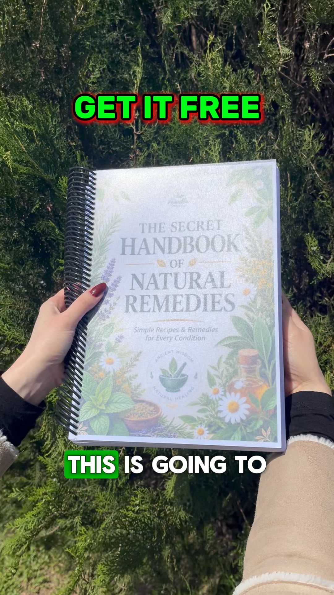 Get Your Handbook FREE Today