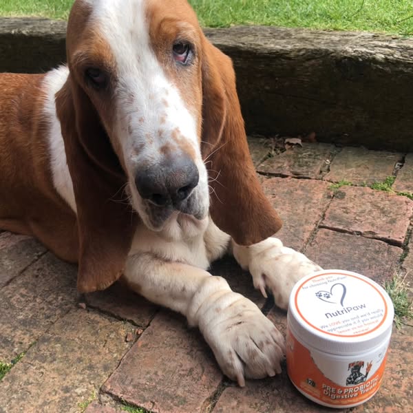 "No more horrible black wax, or ear itching... She's happy & I'm happy"