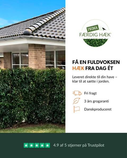 Find din hæk her