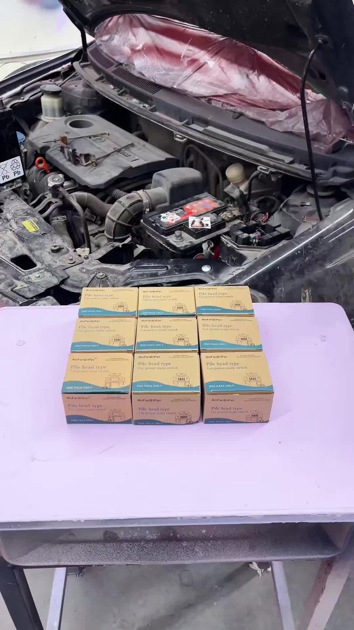 Universal Battery Disconnect & Leak Protector