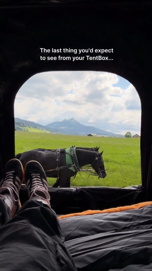 Anúncio de Florine Tournier - Photographie