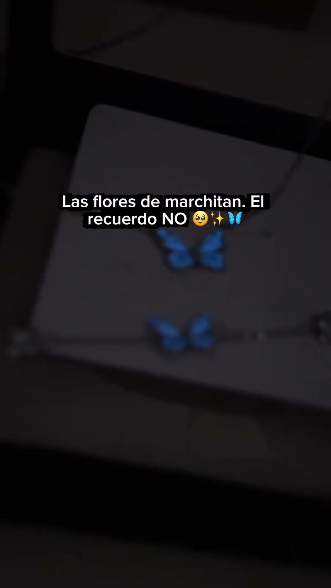 Envío GRATIS y ASEGURADO