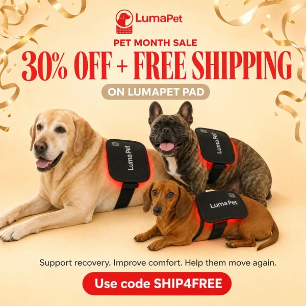 PET MONTH SALE: LumaPet Red Light
