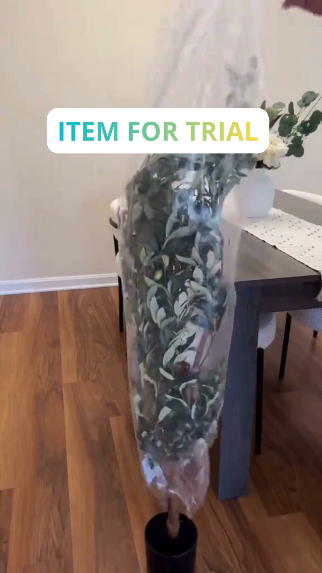 Free trial clothes NOW