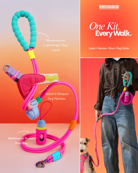 Everything You Need for Better Walks