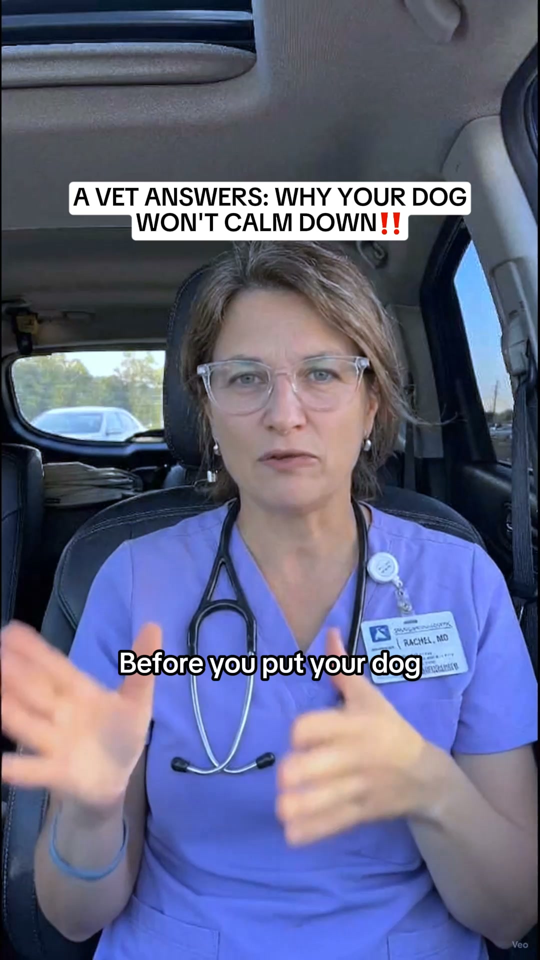 Calm your dog, keep their personality
