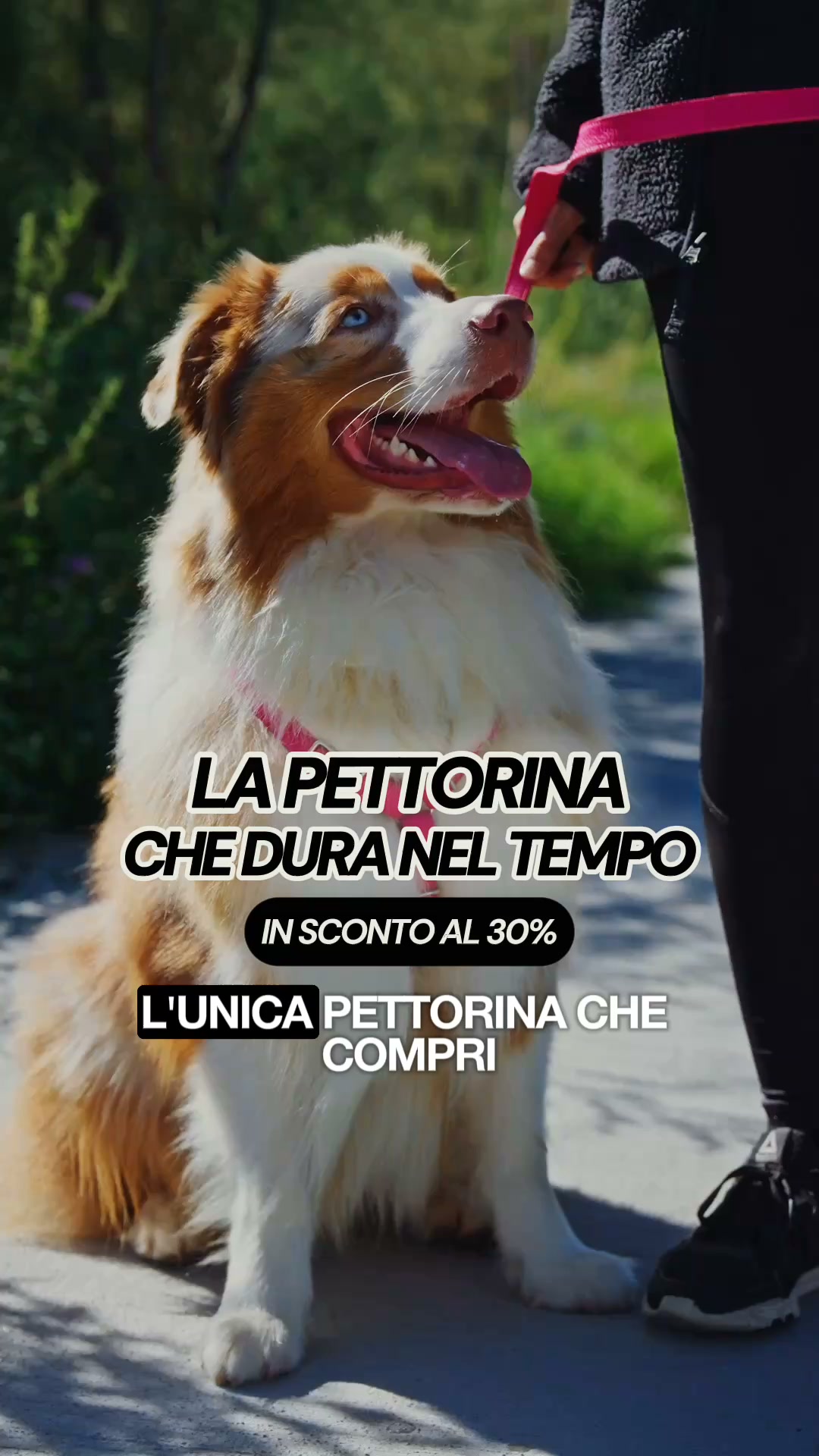 Il tuo accessorio ti aspetta