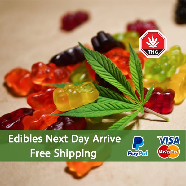 Premium edibles — dessert flavor with a smooth ride