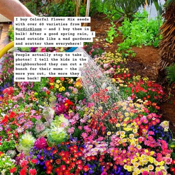 Your garden finally looks alive again