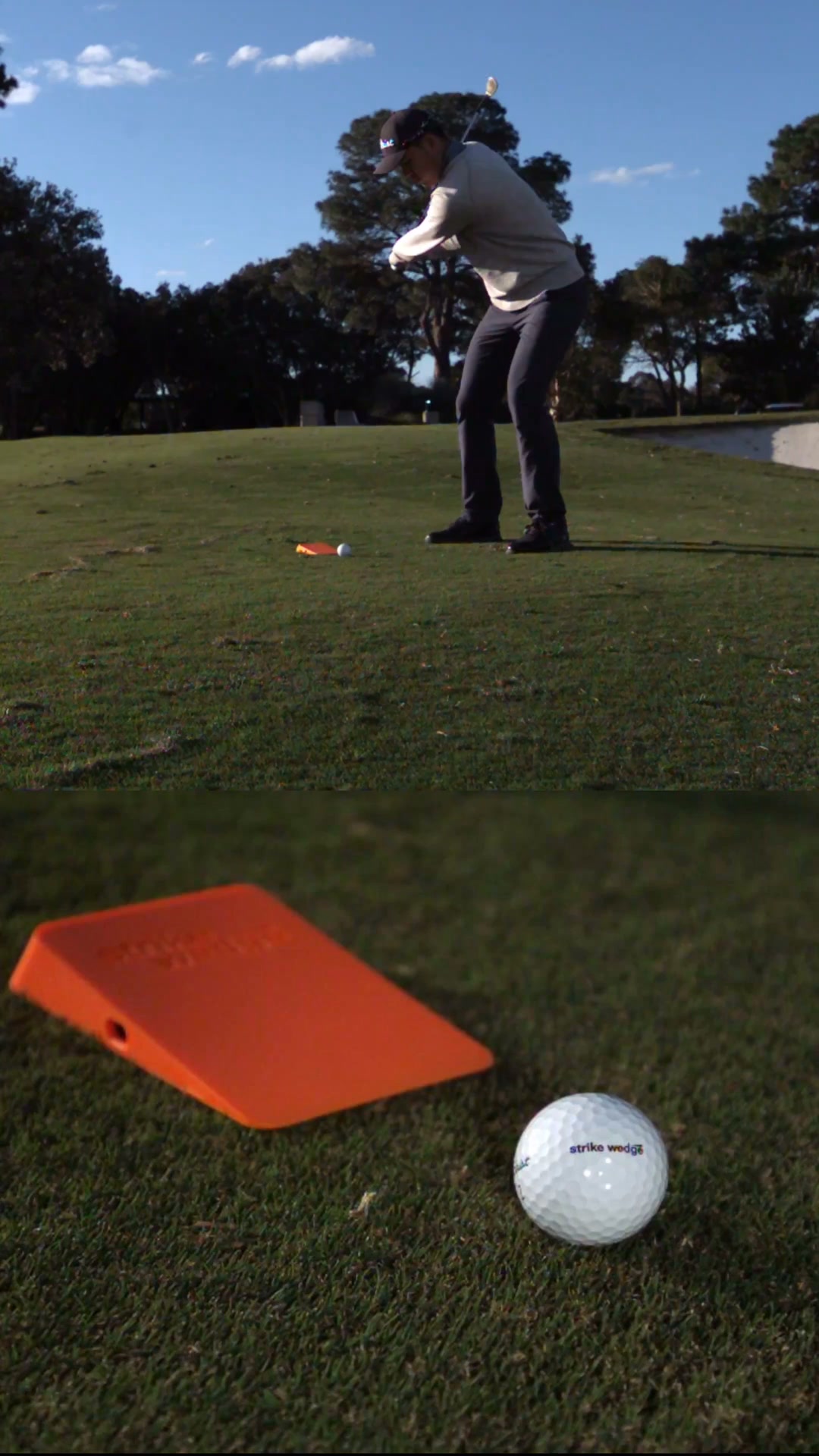 Buy the wedge. Get a year of the app.