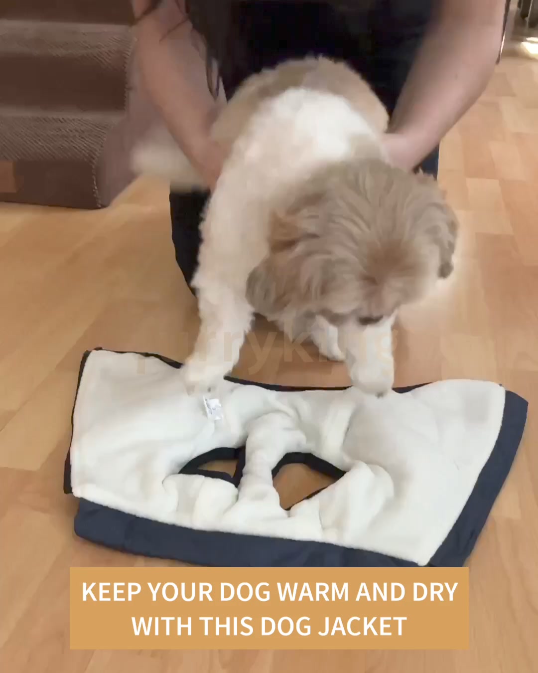 50%OFF Dog Winter Coats