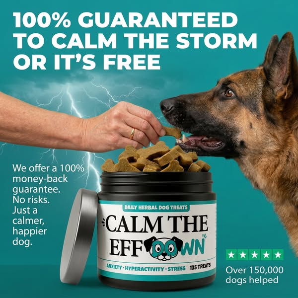 Calm Your Dog NATURALLY