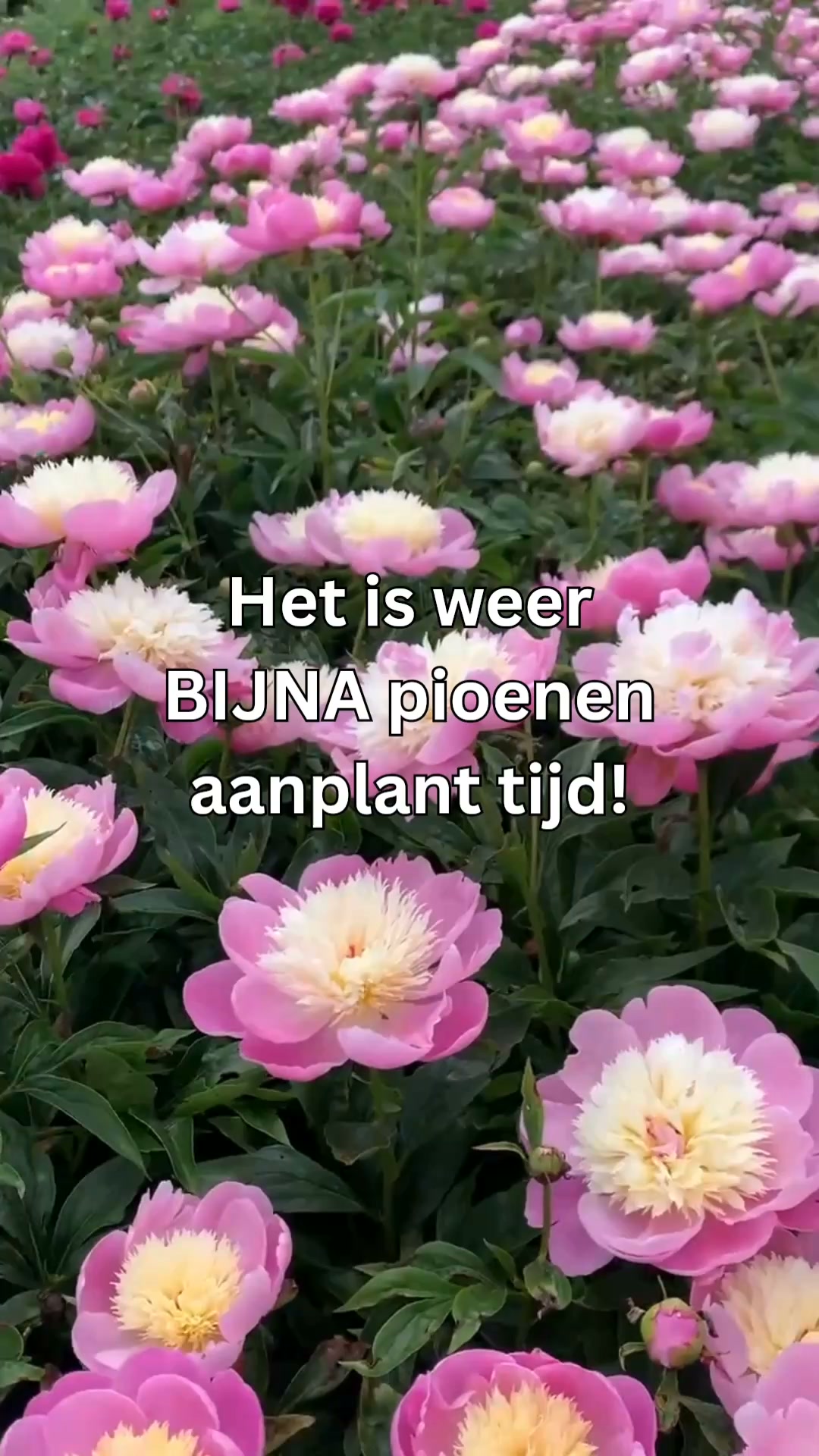 Shop nu met 10% korting!