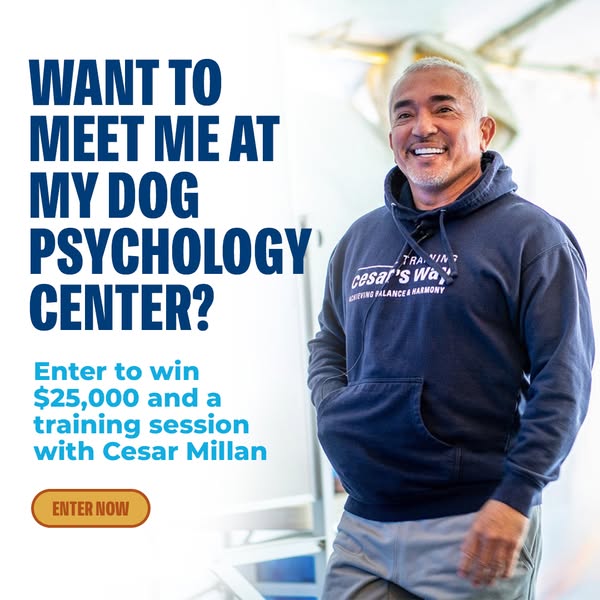 Win $25,000 and a Private Training Session with Me