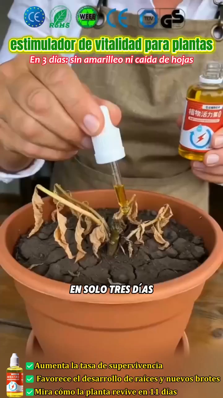 Envío Gratis: 24h y Pago Contrarrembolso