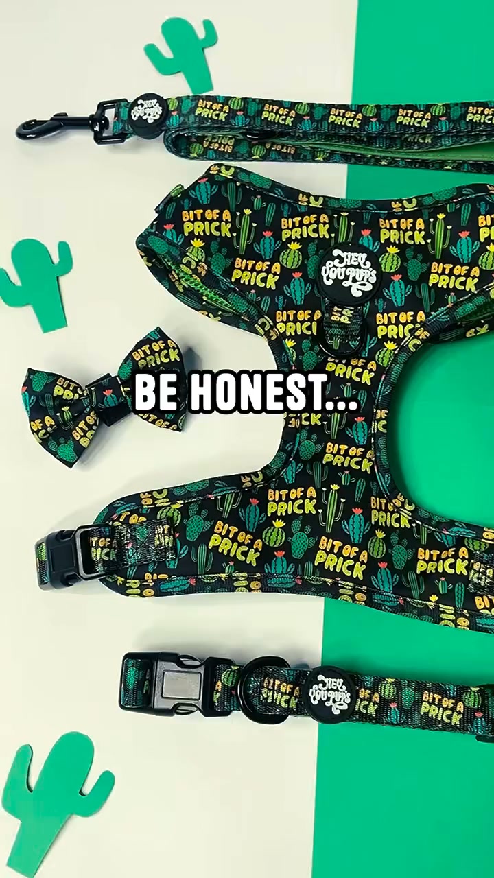 Shop Before They Sell Out!