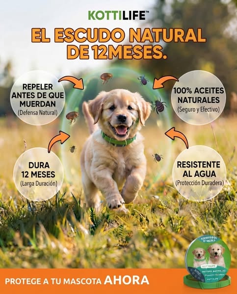 ¡Protege a tu amigo de cuatro patas!