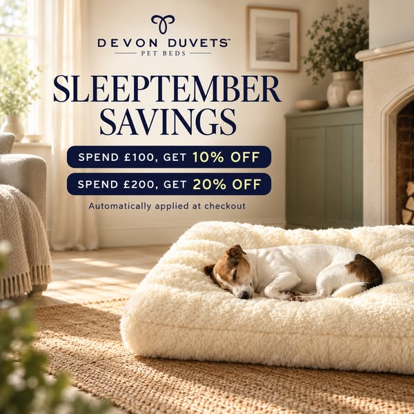 Sleeptember Savings for Pets