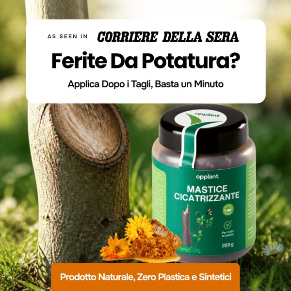 Perché sempre più agricoltori italiani trattano le ferite di potatura entro pochi minuti dal taglio