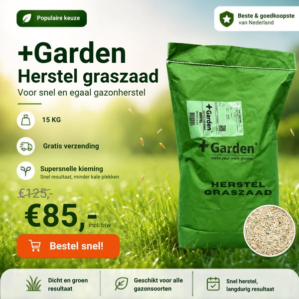 Voor een dichte groene grasmat