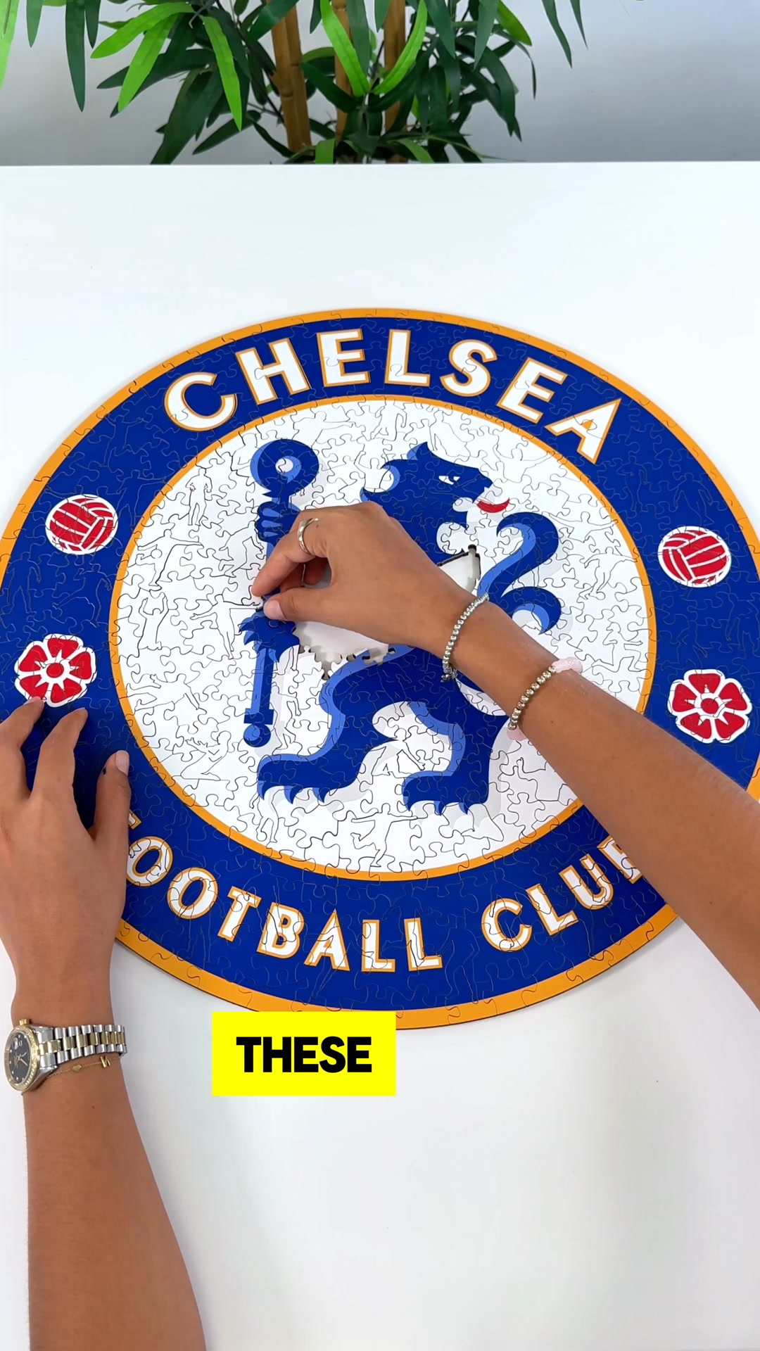 A special gift any fan will love