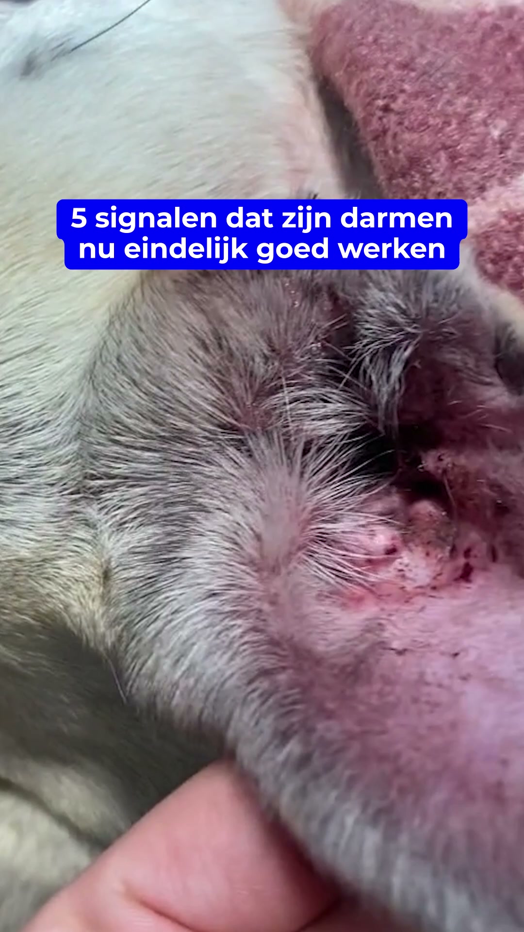 100% natuurlijk, geen medicatie