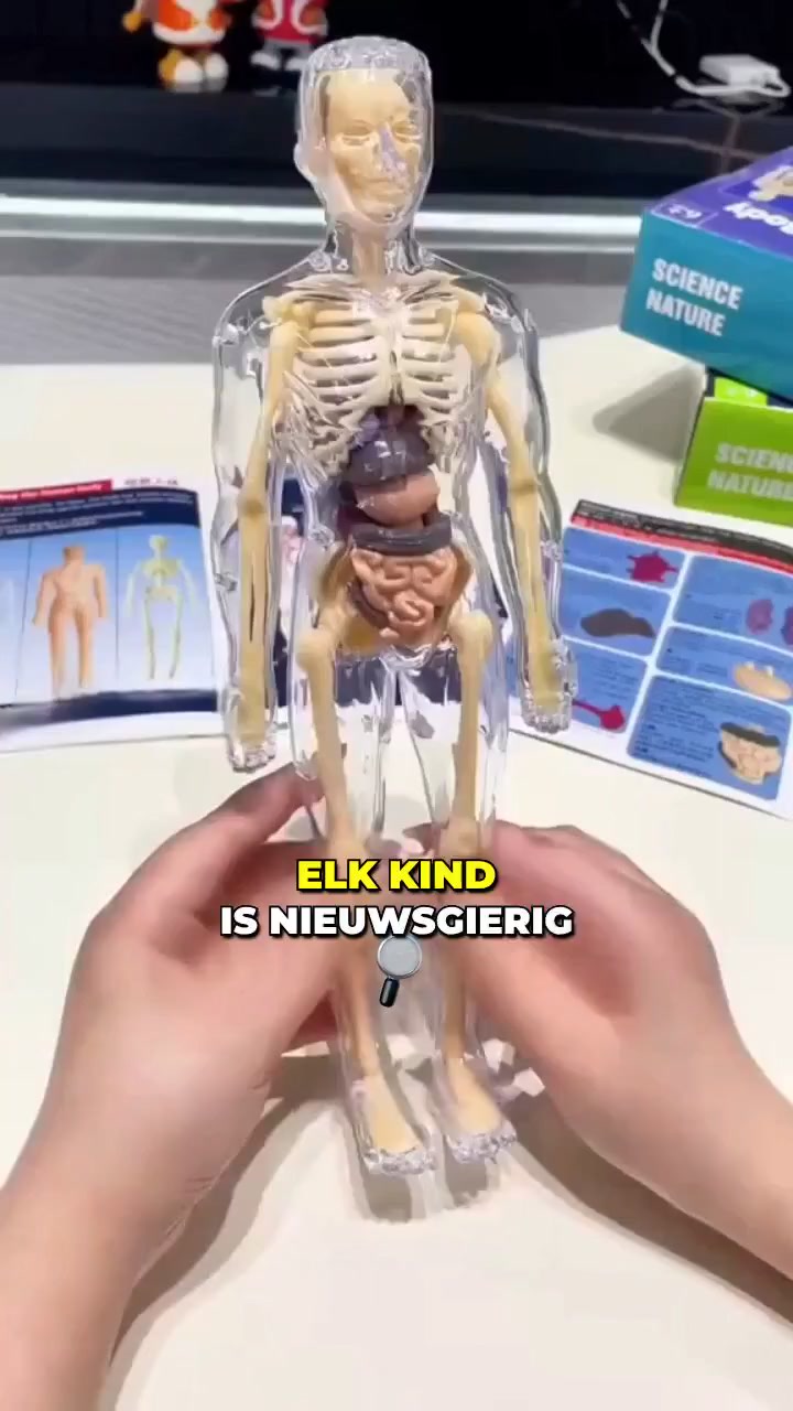 Leuk anatomisch leren