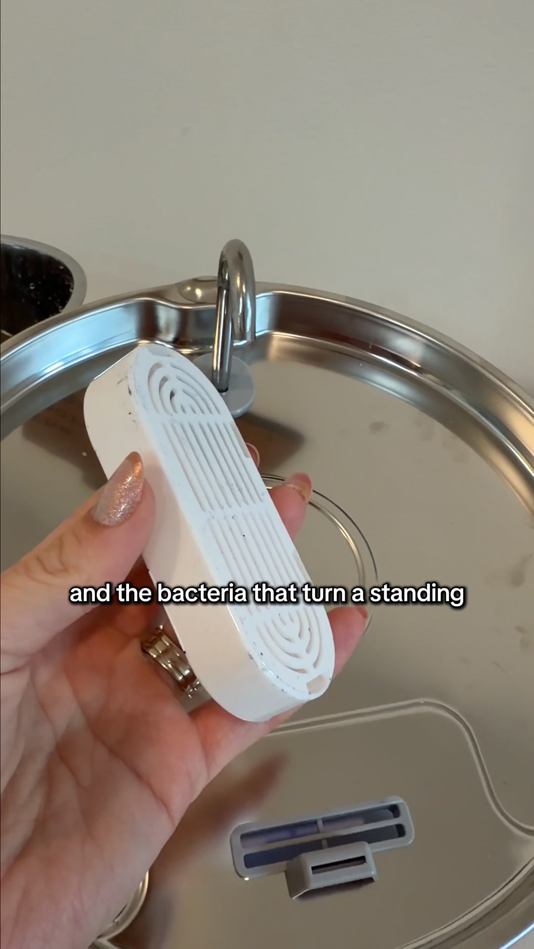 Ditch The Plastic Dog Bowl