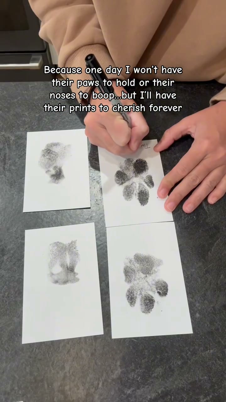 Save Their Little Paw Print!