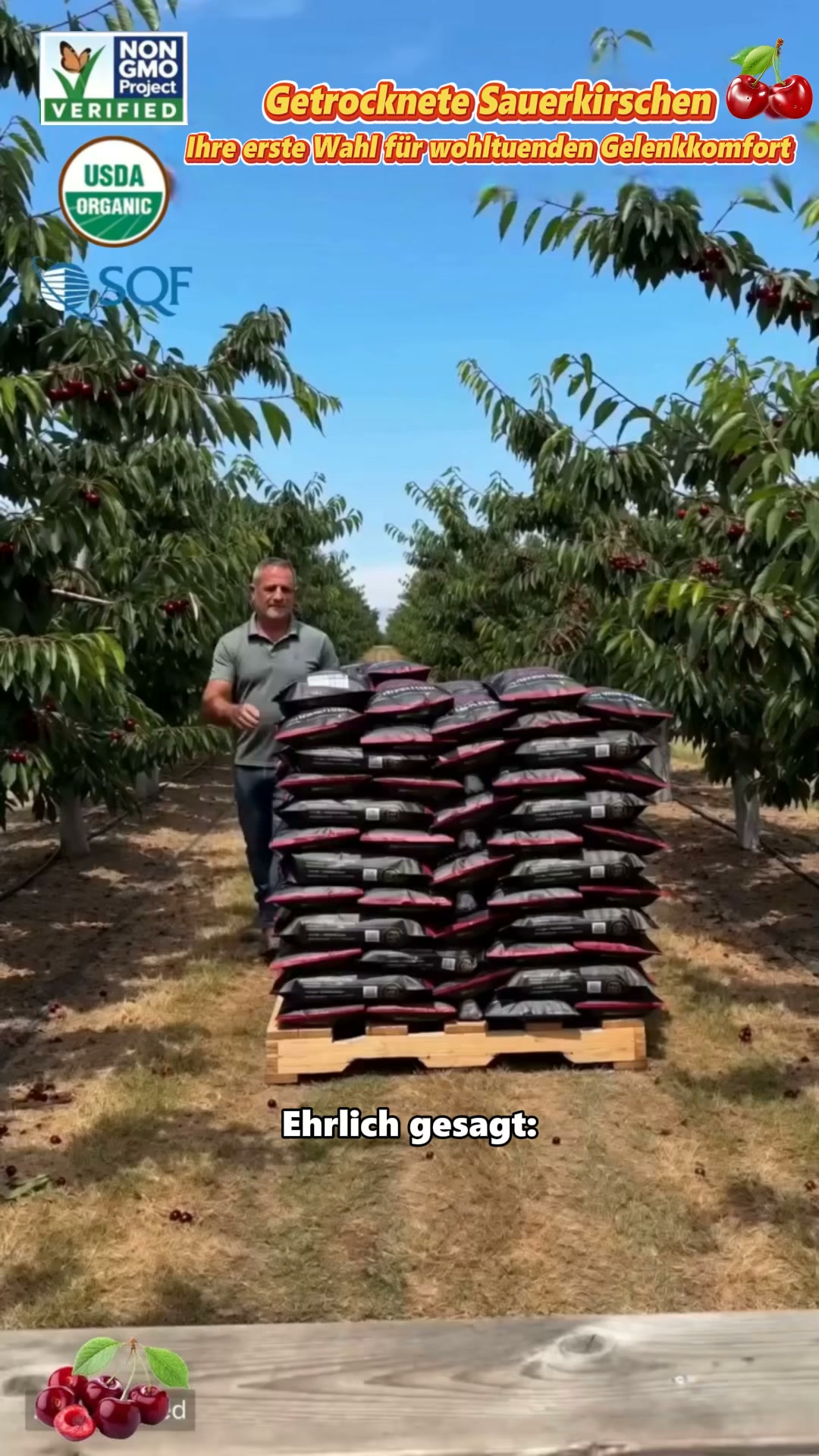 Premium getrocknete Kirschen aus Chile! Natürlicher Fruchtsnack aus den Anden‑Plantagen