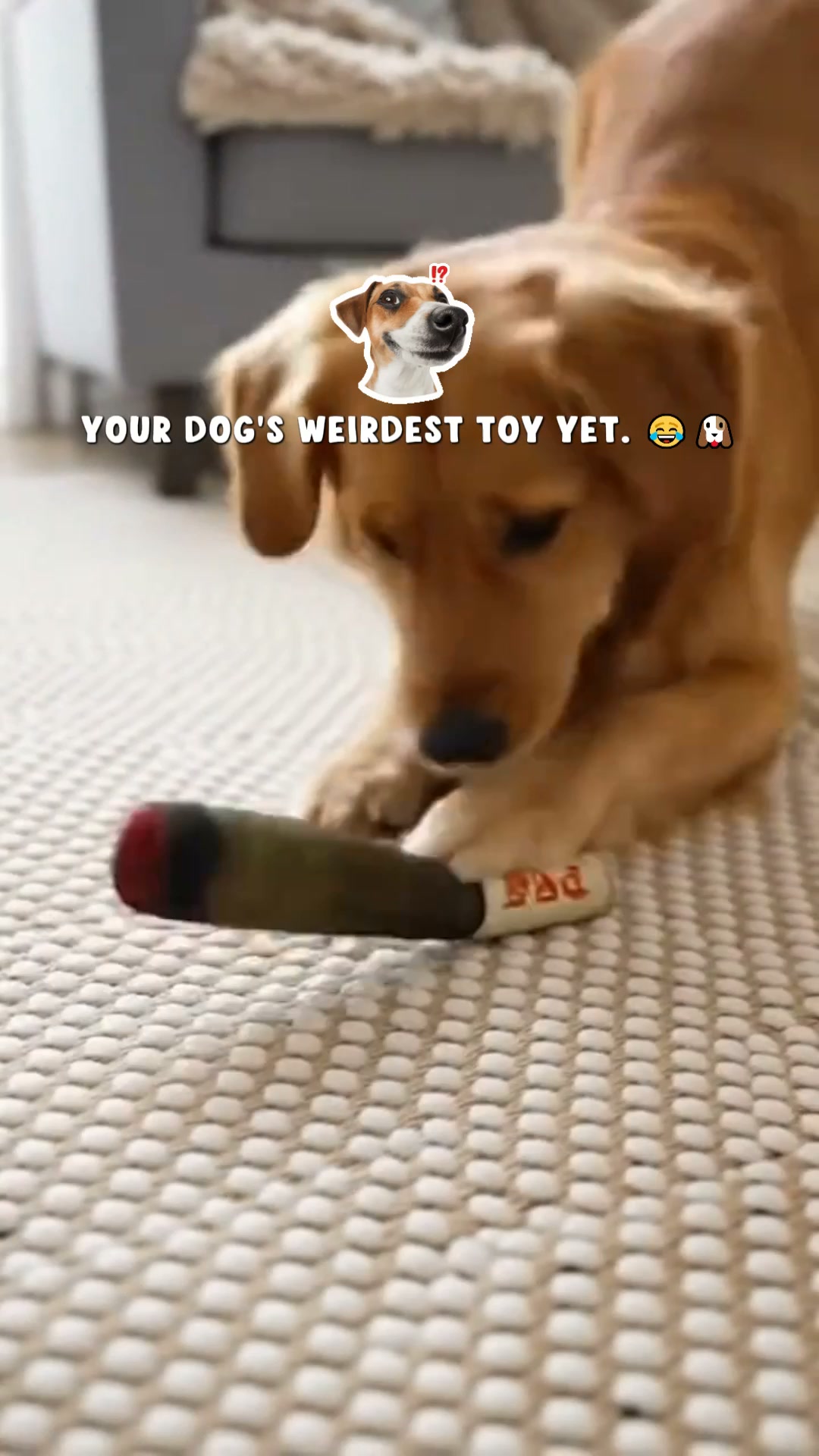 Pawgars™ | Cigar Chew Toy