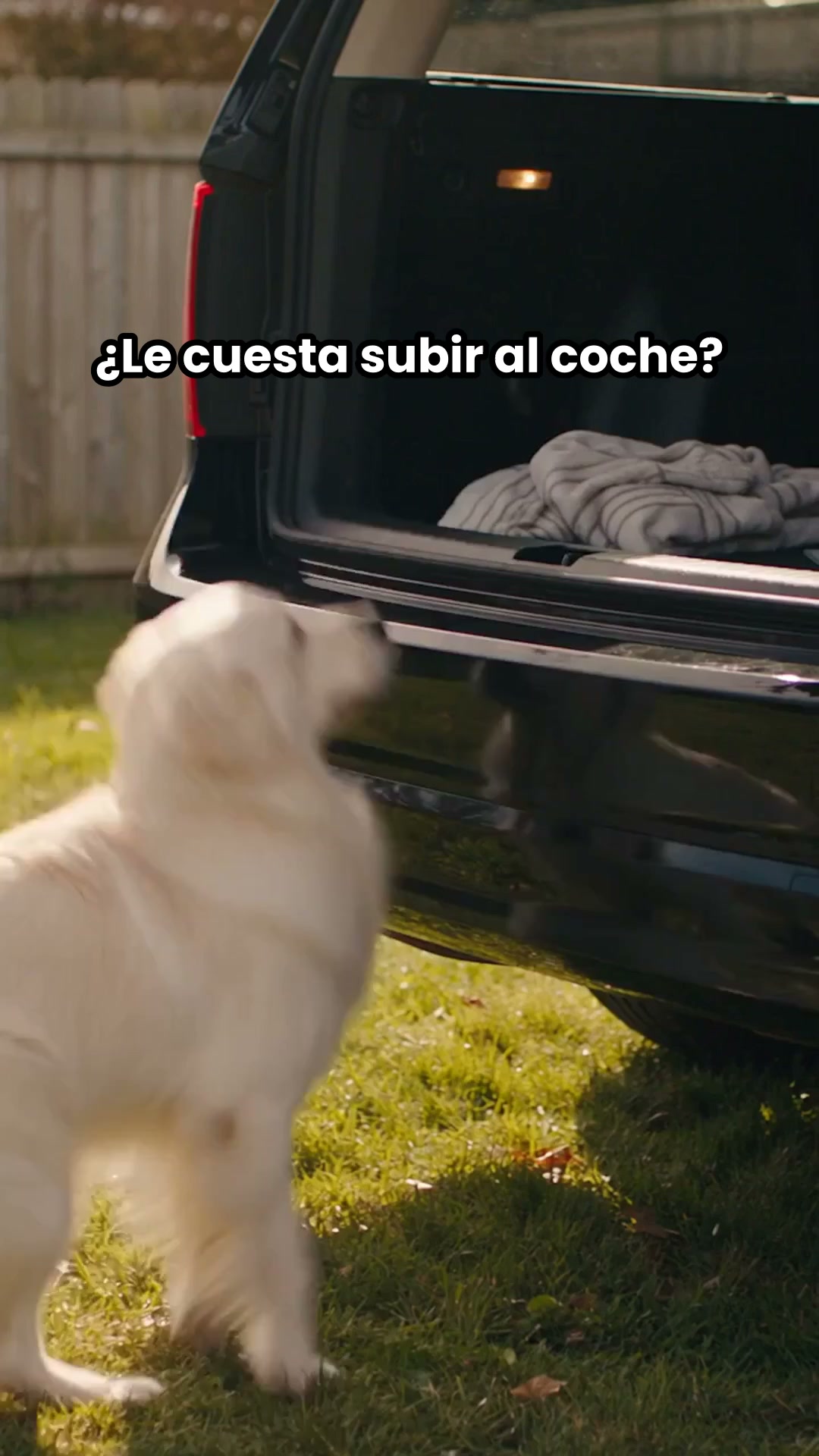 ENVÍOS GRATIS + PAGAS AL RECIBIR